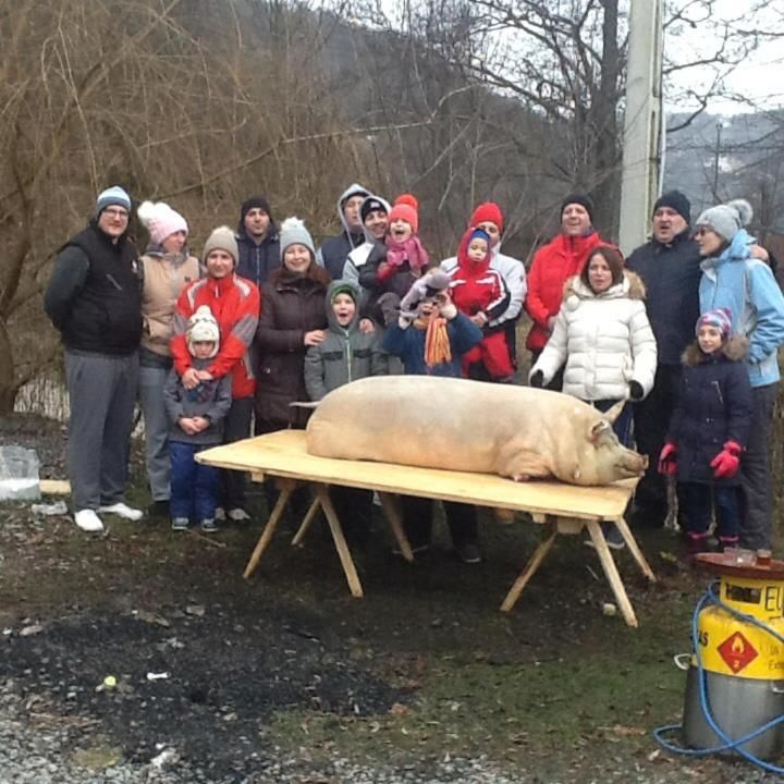 Гостевой дом Pensiunea Roua Muntelui Brăzeşti-14